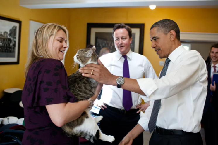 رئيس الوزراء البريطاني ديفيد كامرون يعرف القط لاري على الرئيس الأمريكي باراك أوباما