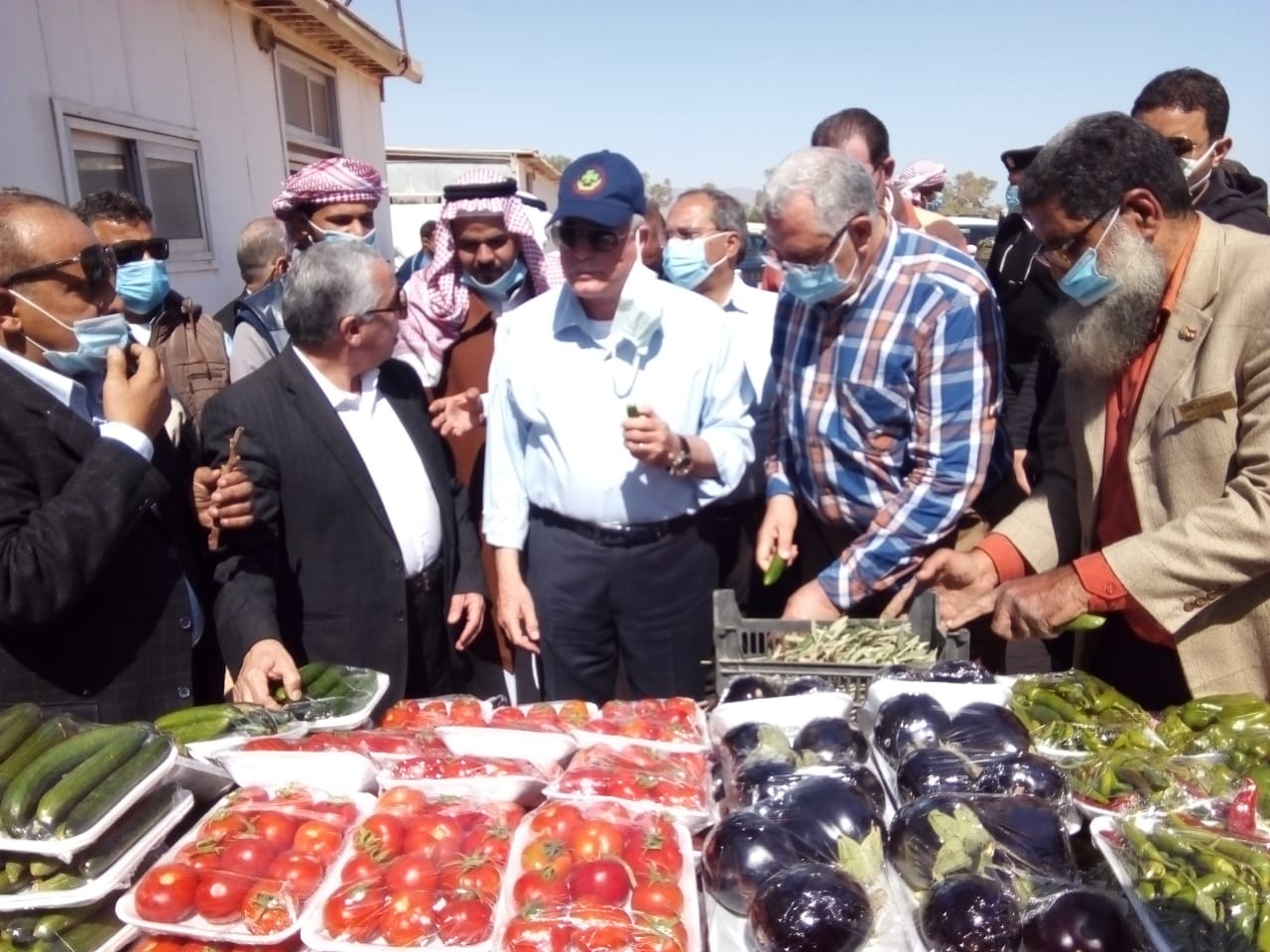 وزيرة الزراعة ومحافظ جنوب سيناء يتفقدان المزارع والانتاج (3)