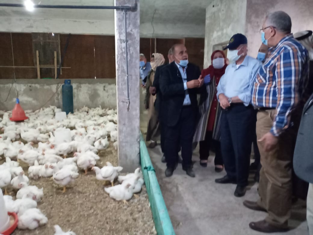 وزيرة الزراعة ومحافظ جنوب سيناء يتفقدان المزارع والانتاج (1)