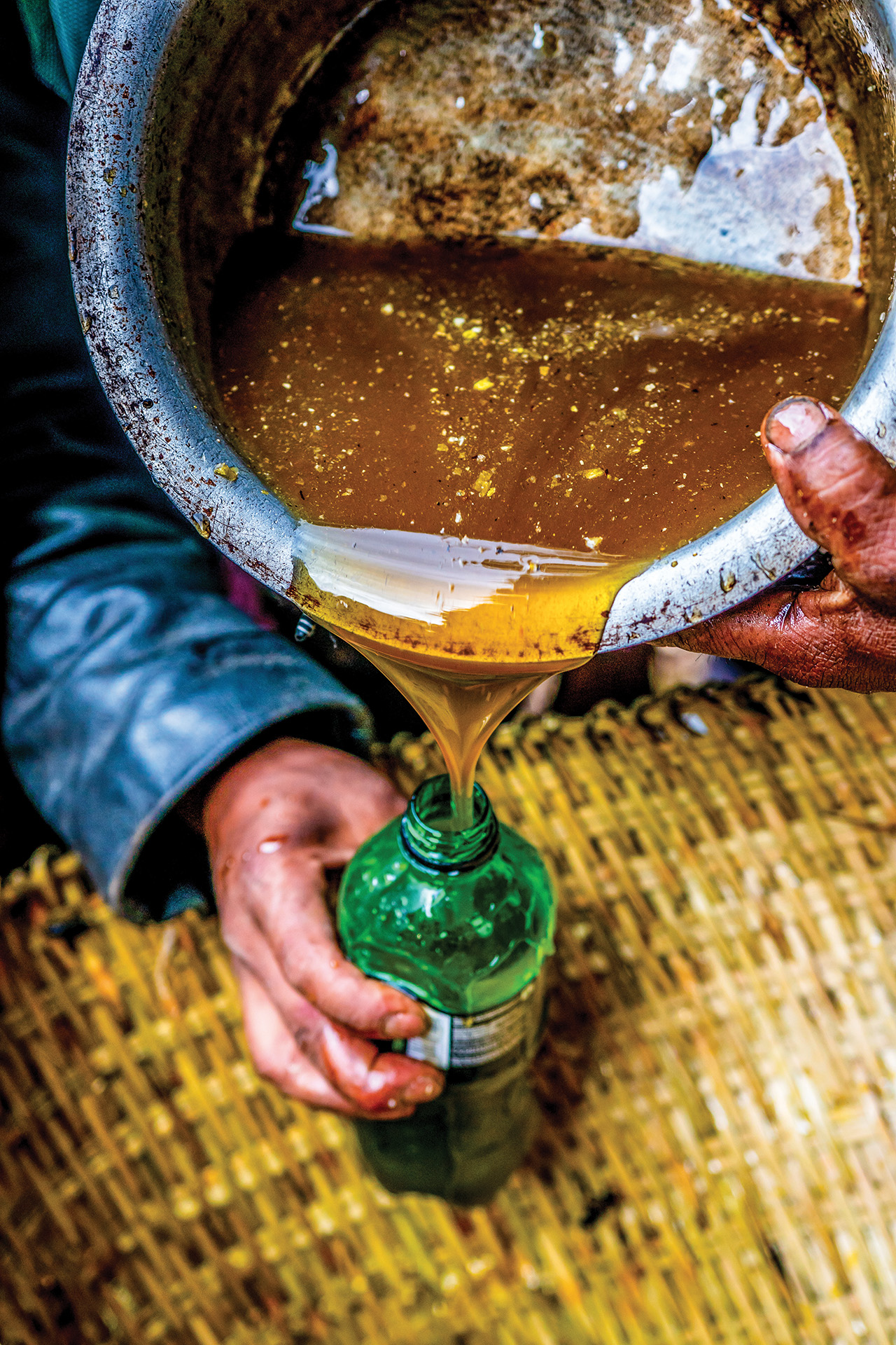 مهنة جمع العسل جزءا حيويا من ثقافة شعب النيبال