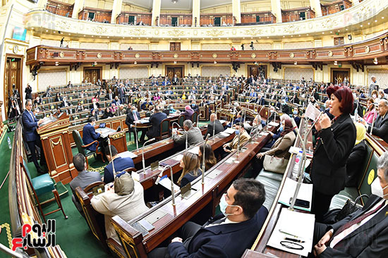 جلسة مجلس النواب بحضور وزير الاثار (32)