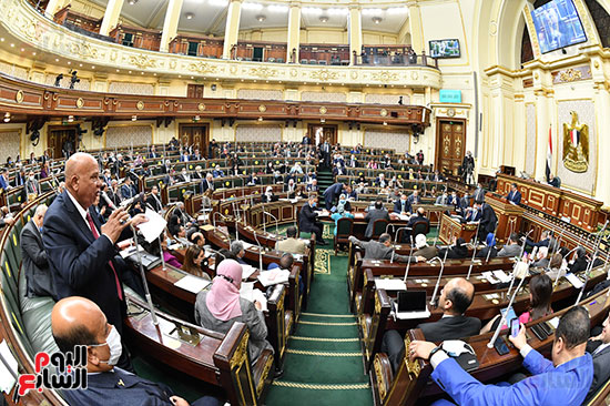 جلسة مجلس النواب بحضور وزير الاثار (14)
