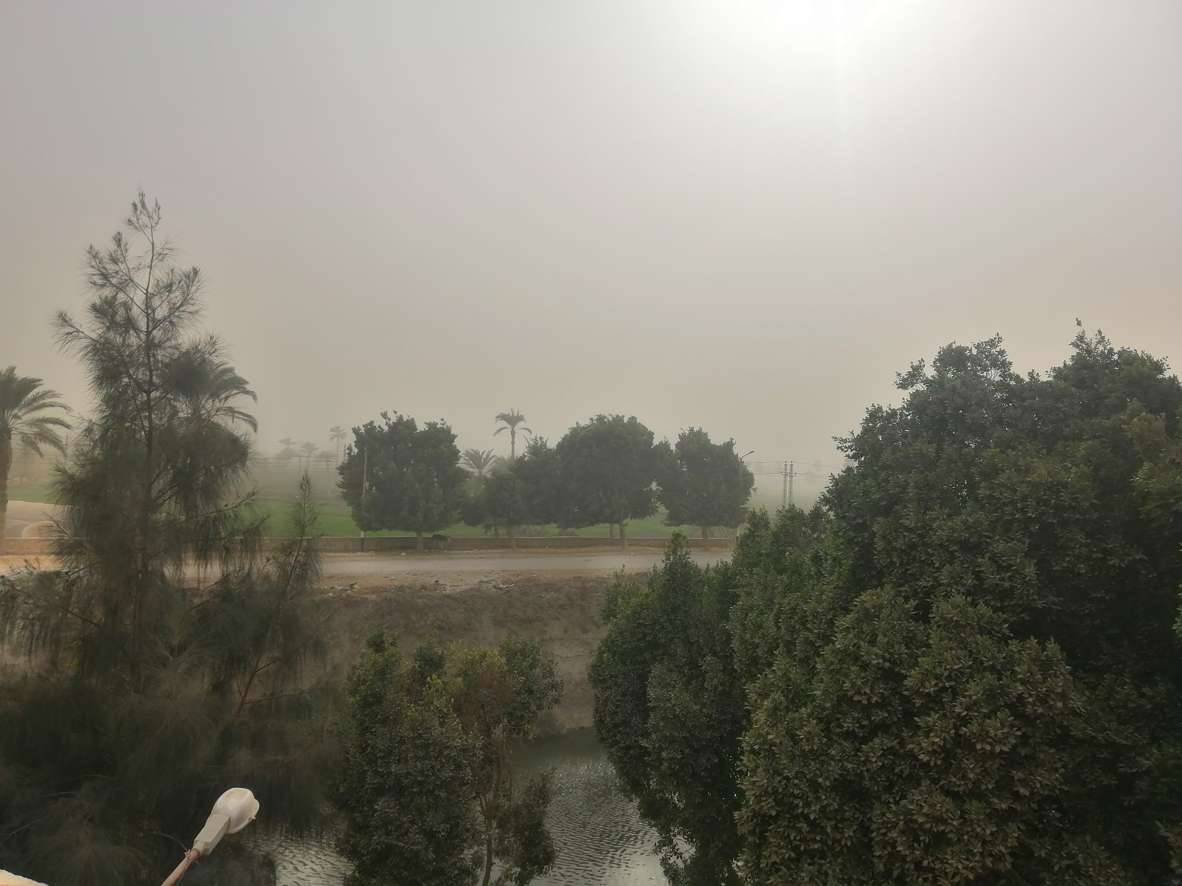 الطقس في مصر - رياح شديدة وعاصفة ترابية تضرب الفيوم (4)