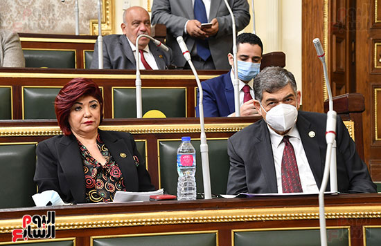 جلسة مجلس النواب بحضور وزير الاثار (41)