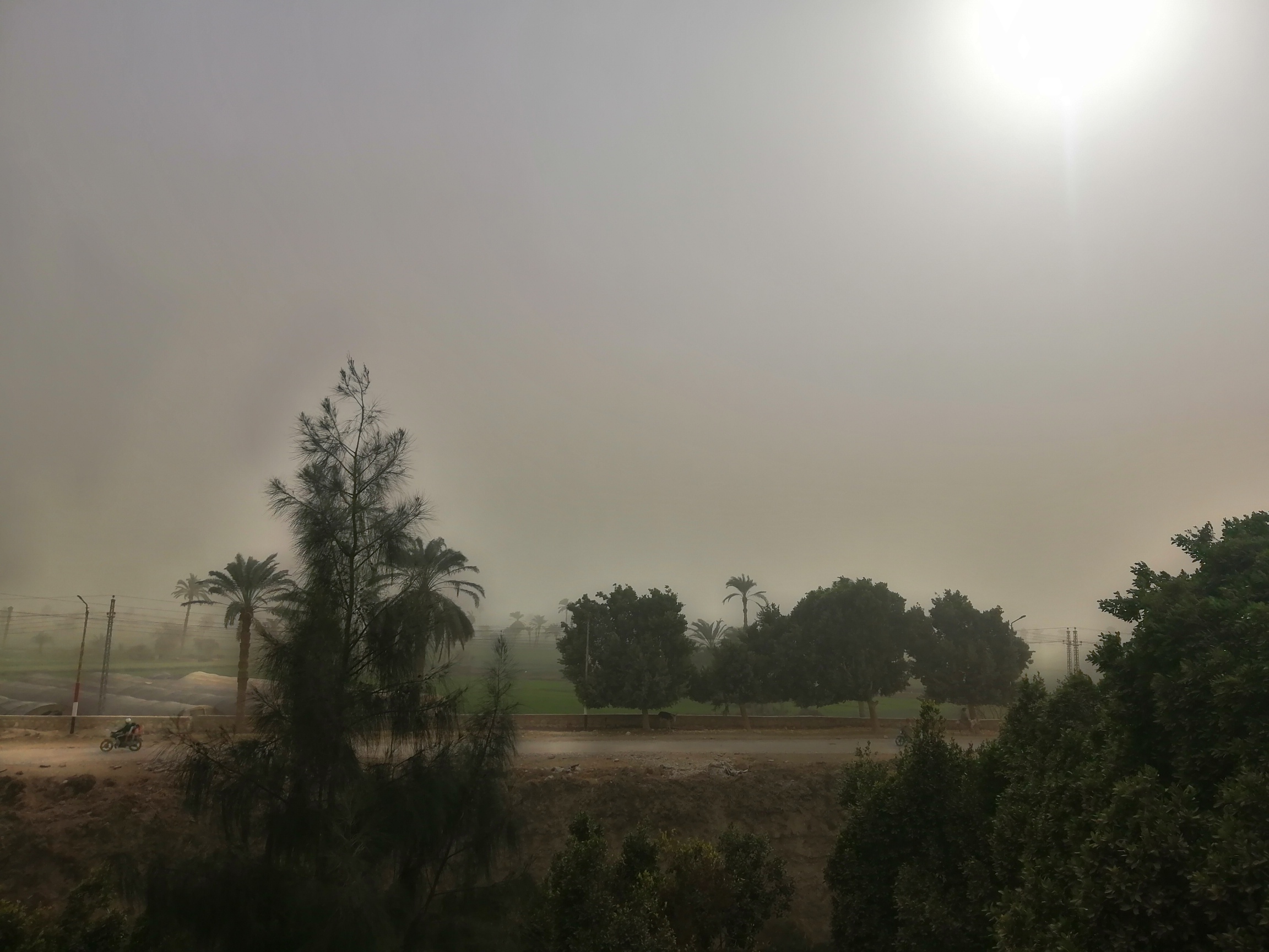 الطقس في مصر - رياح شديدة وعاصفة ترابية تضرب الفيوم (6)