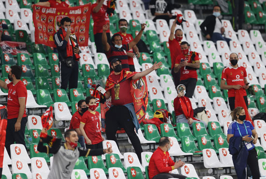 جماهير الأهلى جماهير الأهلى