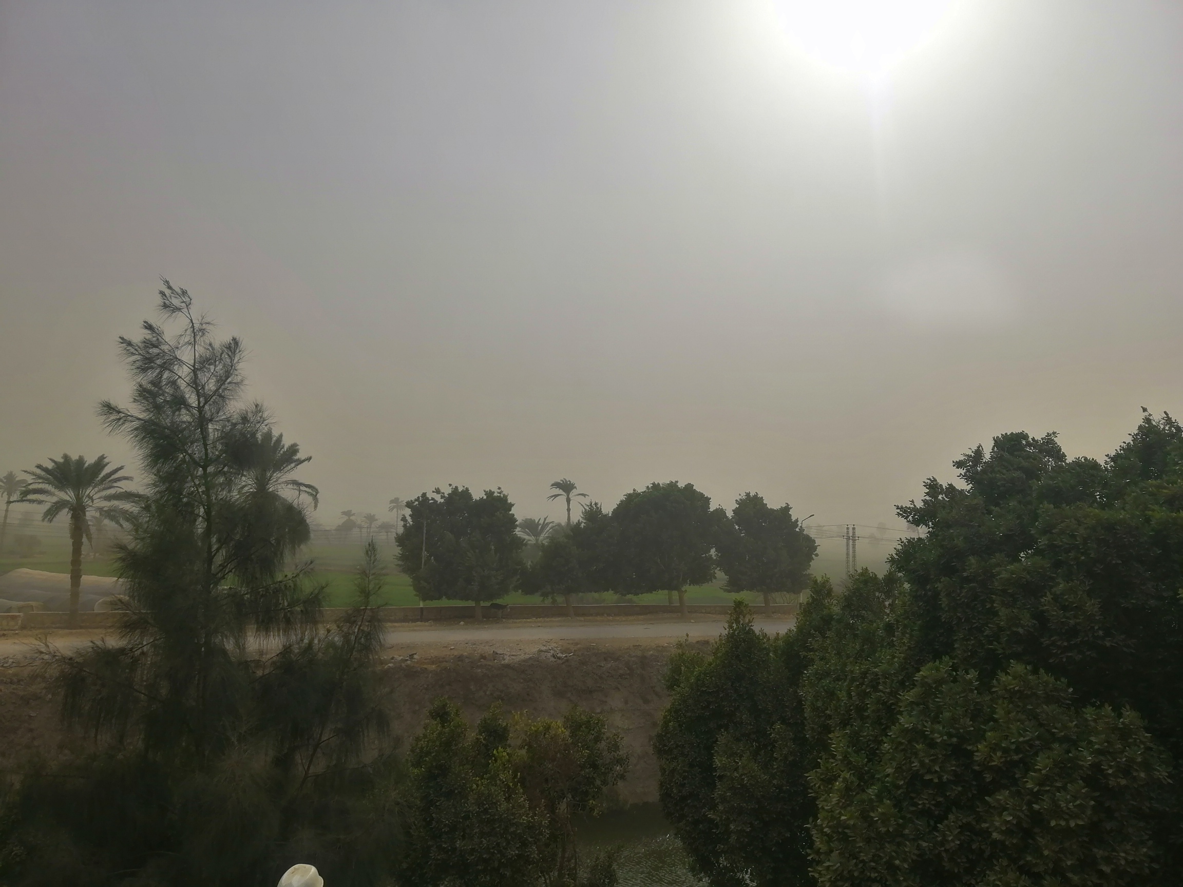 الطقس في مصر - رياح شديدة وعاصفة ترابية تضرب الفيوم (2)