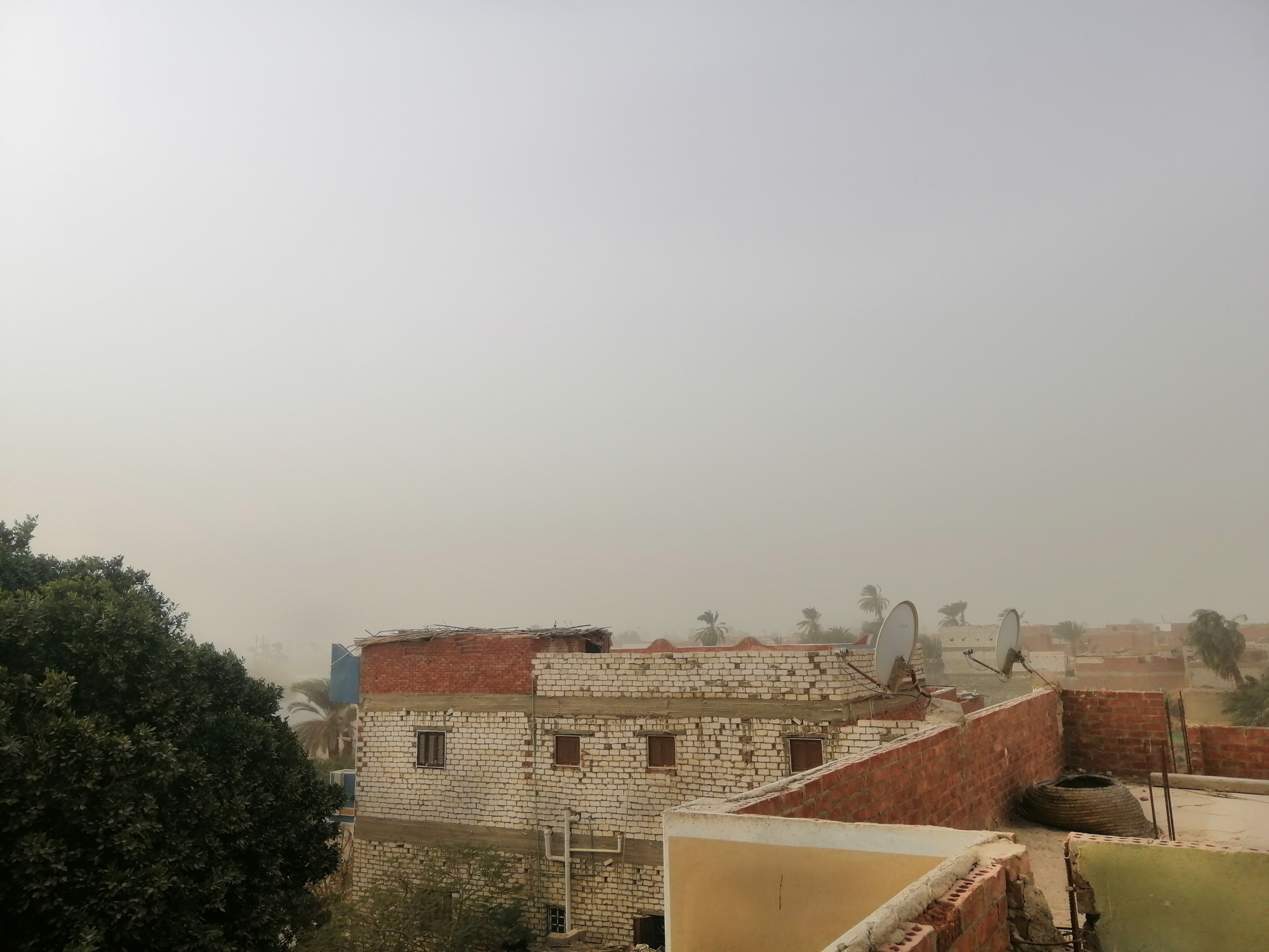 الطقس في مصر - رياح شديدة وعاصفة ترابية تضرب الفيوم (3)