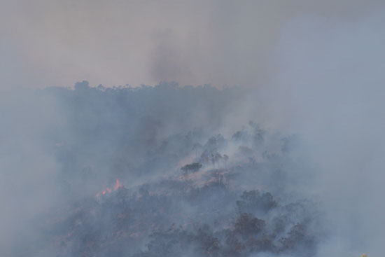 حرائق الغابات تدمر عدة منازل غرب أستراليا (4)
