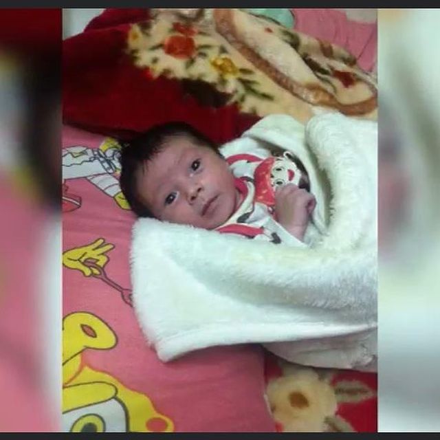 نجل حسين الشحات