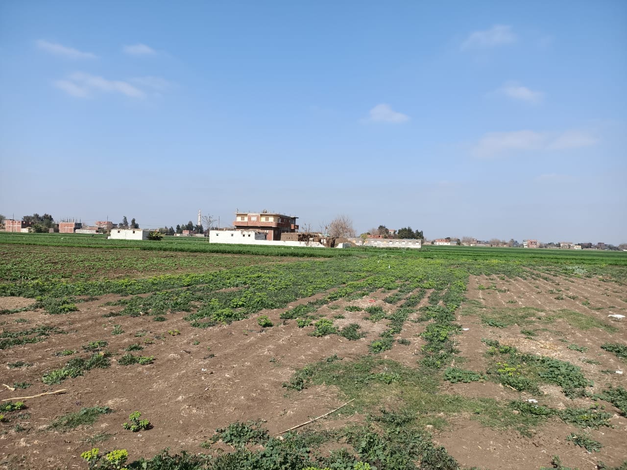 مواطنون يستغيثون لمنع دخول الآلات الزراعية  (2)
