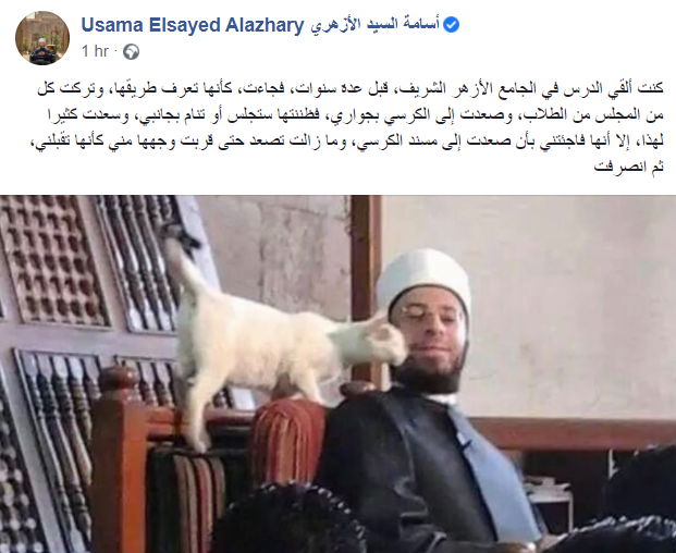 اسامة الازهرى والقطة