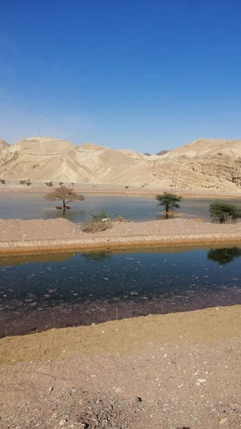 جنوب سيناء تودع كوارث السيول (2)