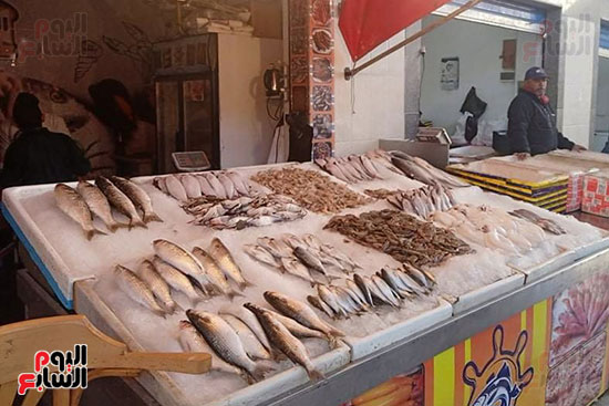 سوق-بورسعيد-للاسماك سوق-بورسعيد-للاسماك