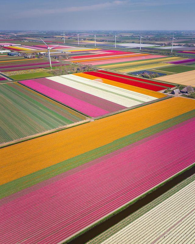 جمال الطبيعية في هولندا بعدسة طيار  (3)