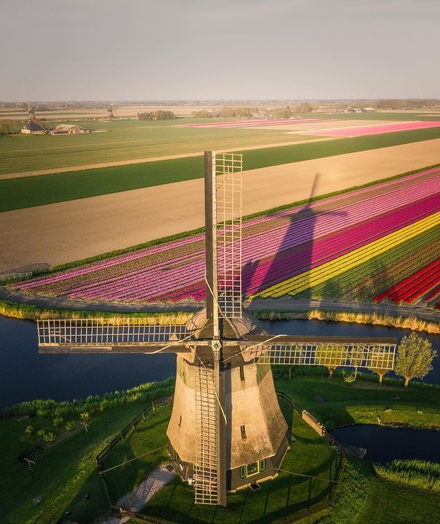 جمال الطبيعية في هولندا بعدسة طيار  (4)