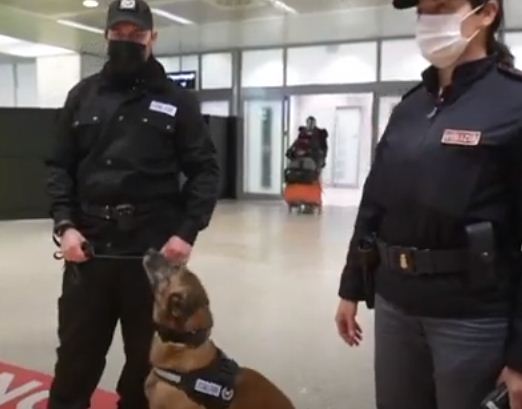رجال الشرطة مع الكلاب