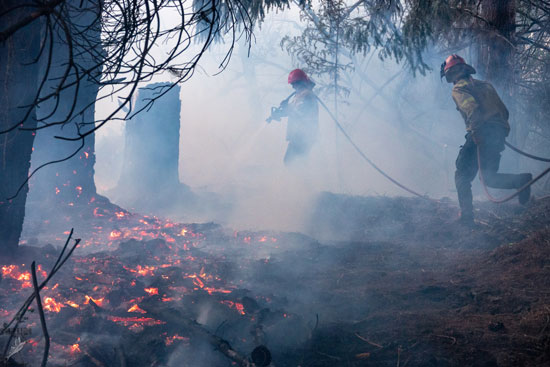 حرائق الغابات تجتاح غابات الأرجنتين  (6)