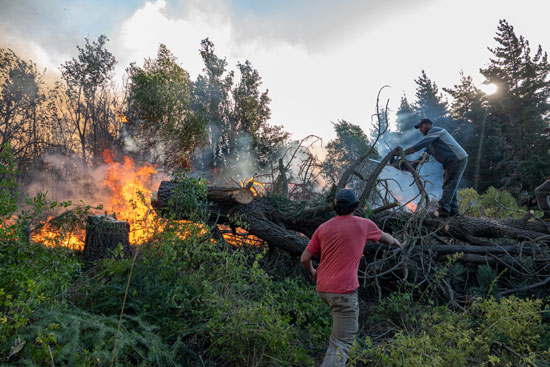حرائق الغابات تجتاح غابات الأرجنتين  (5)