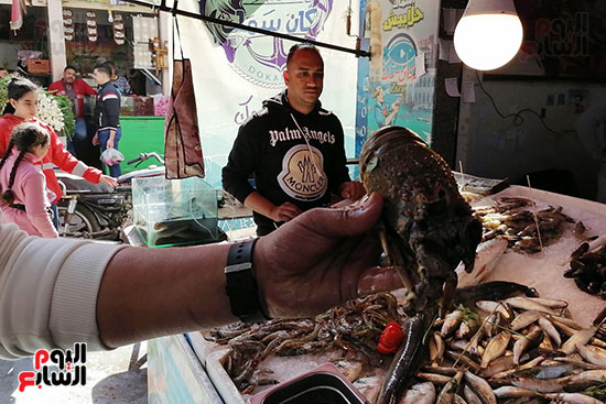 الاستاكوزا-في-سوق-السمك-ببورسعيد