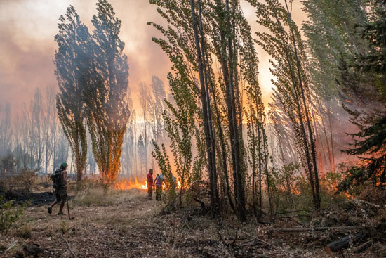 حرائق الغابات تجتاح غابات الأرجنتين  (2)