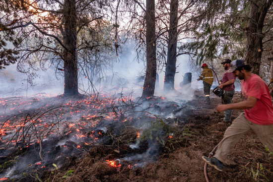 حرائق الغابات تجتاح غابات الأرجنتين  (4)