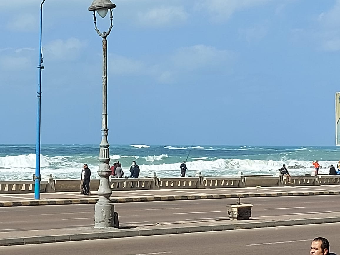  برودة ورياح فى موجة جديدة بالإسكندرية (3)