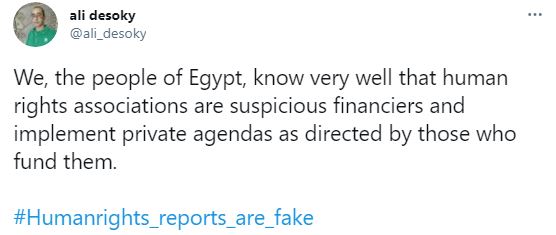تغريدة ترفض تقرير حقوق الإنسان عن مصر