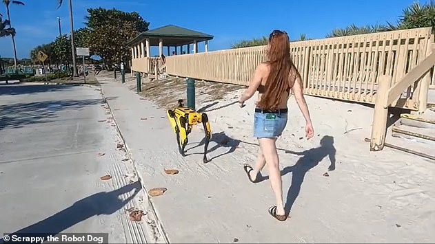 كلب روبوتى كلب روبوتى