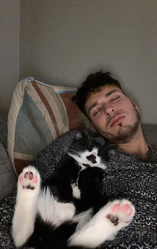 توم والقط نايجل