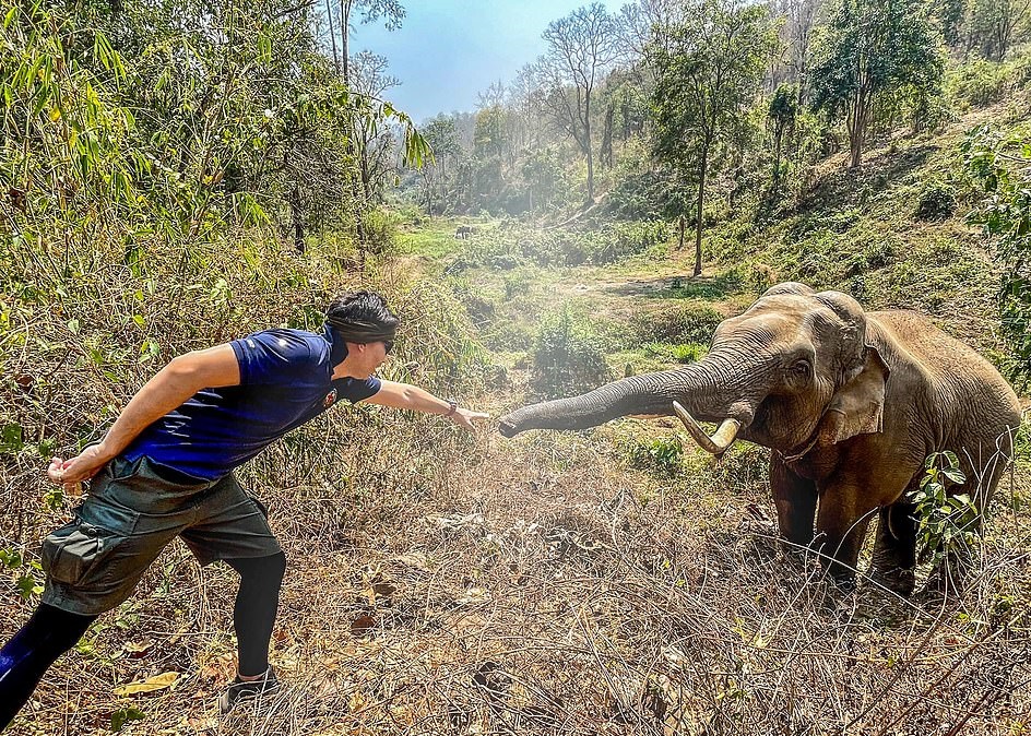 فيل يتعرف على طبيب عالجه من 12 عاما في تايلاند..  (2)