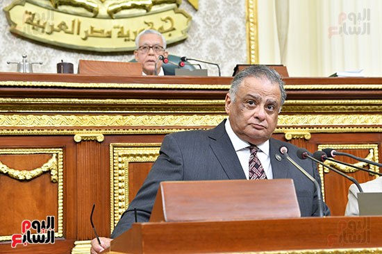 الجلسة العامة لمجلس النواب (9)