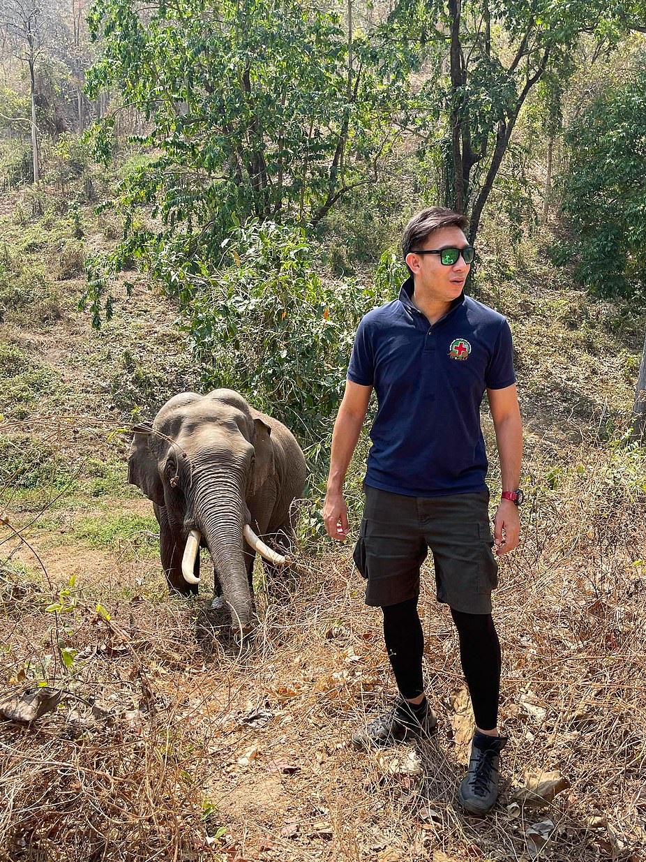 فيل يتعرف على طبيب عالجه من 12 عاما في تايلاند..  (1)