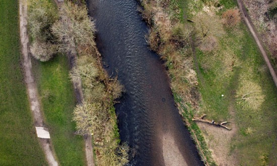 التلوث فى نهر تام ببريطانيا