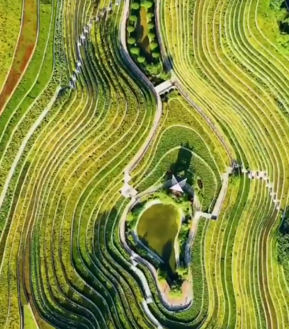 صور علوية للمدرجات