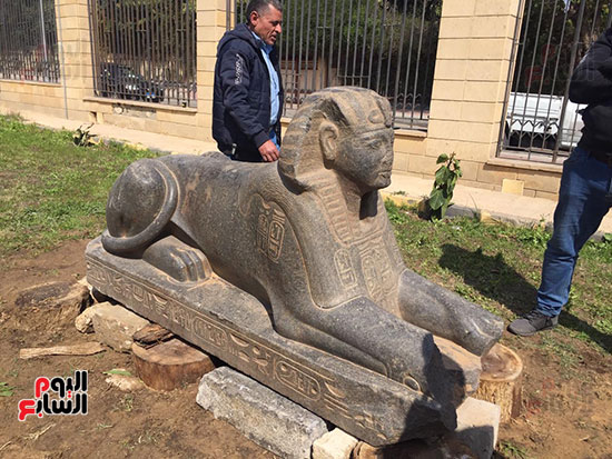 الآثار-تنقل-تمثال-أبوصوير-شبيه-أبو-الهول-إلي-متحف-آثار-الإسماعيلية-(2)
