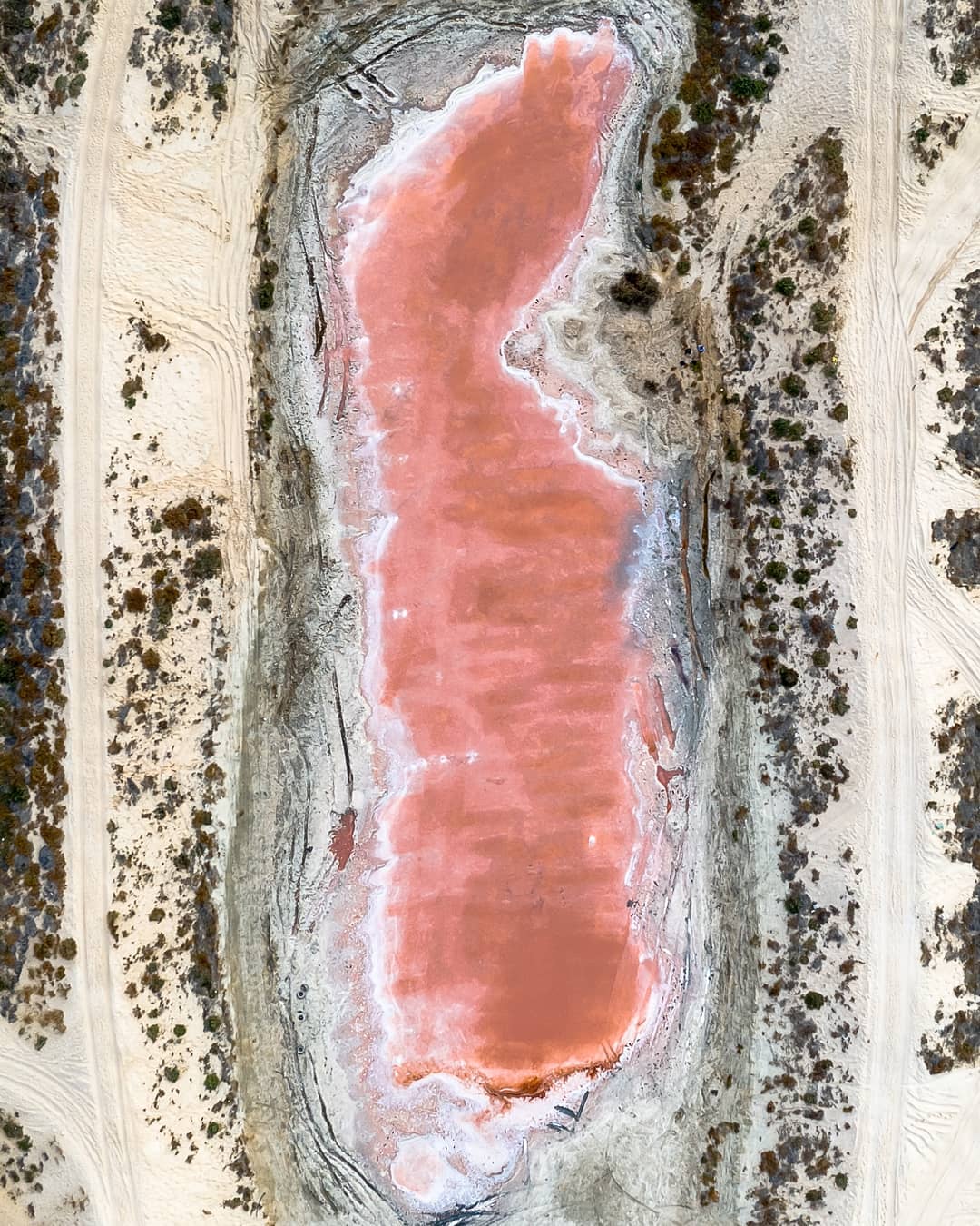 بحيرة وردية اللون فى الإمارات (3)