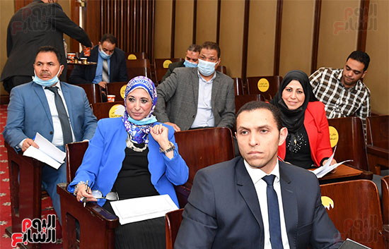 لجنة الشؤون الدستورية والتشريعية بمجلس النواب (8)
