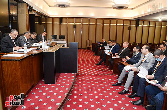 لجنة الشؤون الدستورية والتشريعية بمجلس النواب (3)