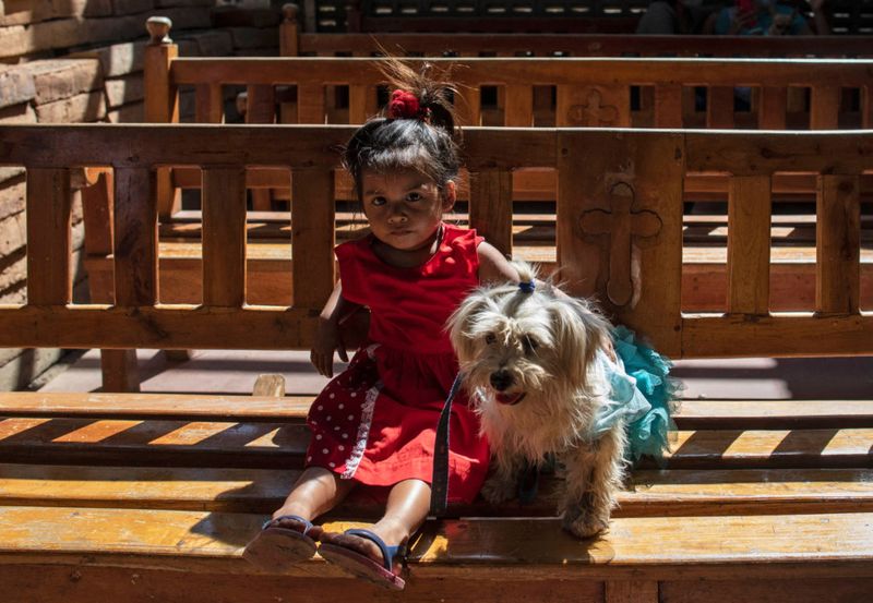 فتاة صغيرة تجلس مع كلبها ليباركها القديس لعازر
