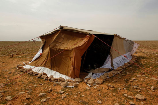 خيمة أبو جاكة فرحان  صائد الكمأة  في الصحراء