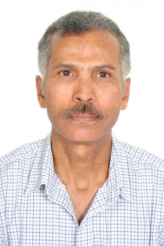 احمد زين احمد زين