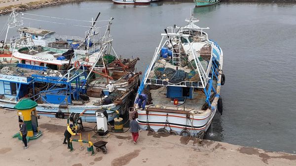 استئناف حركة الصيد بميناء البرلس