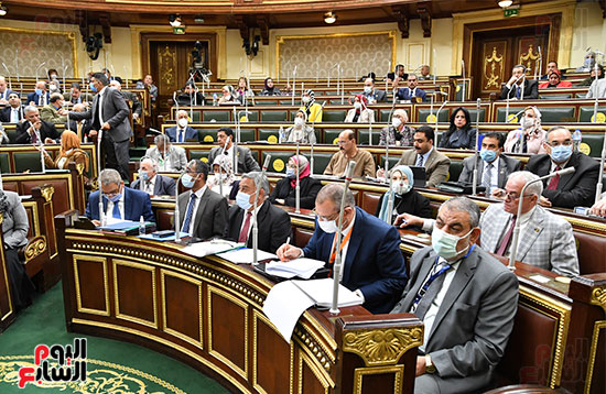الجلسة العامة بمجلس النواب (2)