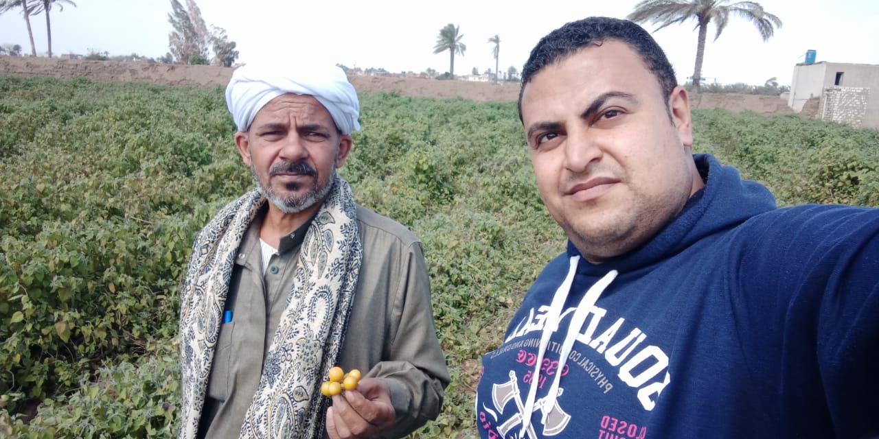 محرر اليوم السابع مع مزارع حرنكش محرر اليوم السابع مع مزارع حرنكش