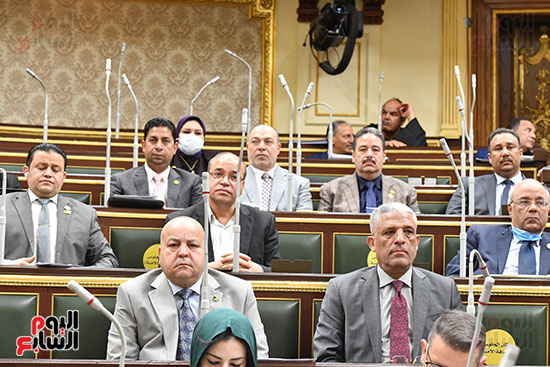  مجلس النواب خلال جلسته العامة اليوم (4)