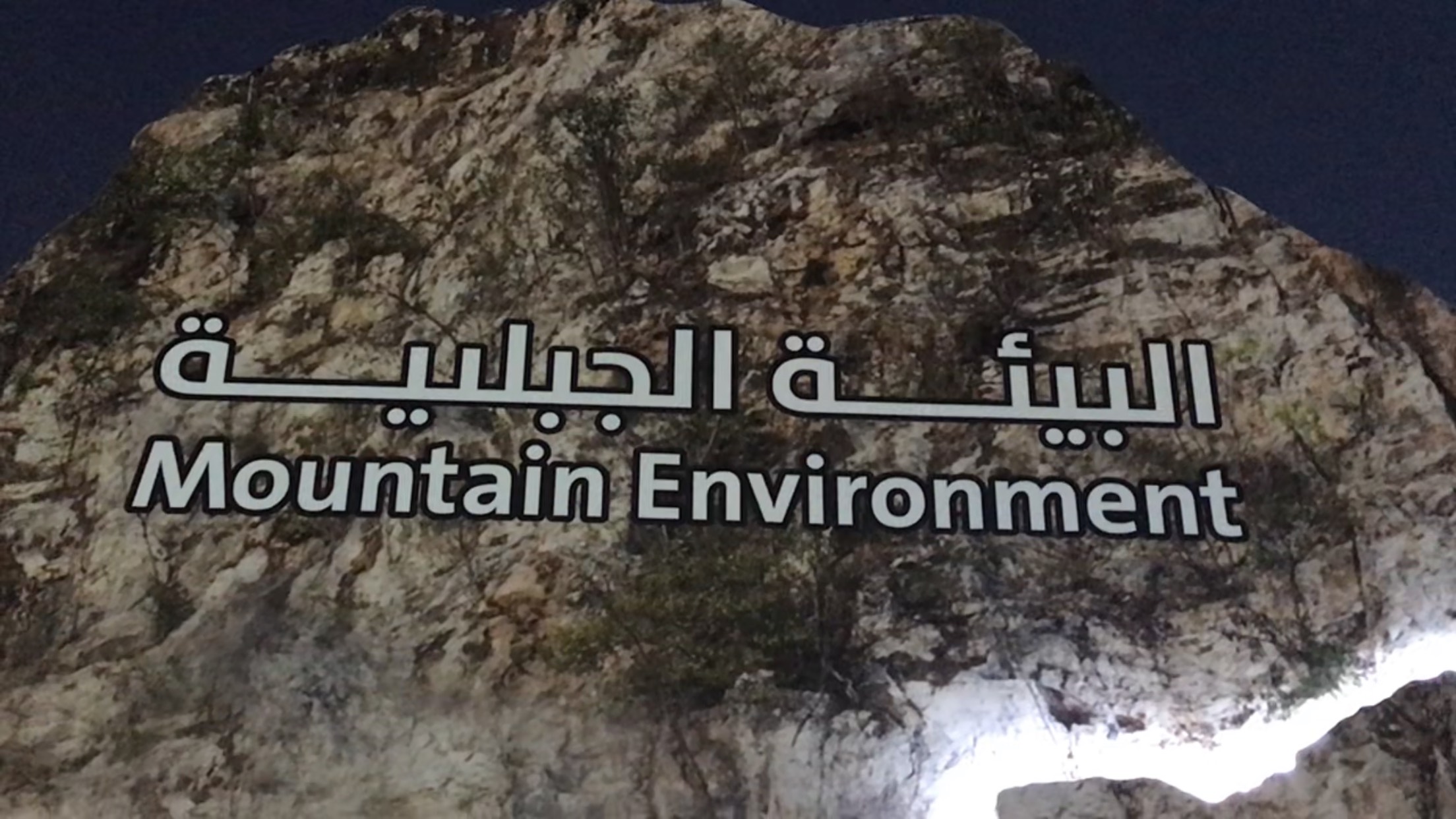 البيئة الجبلية