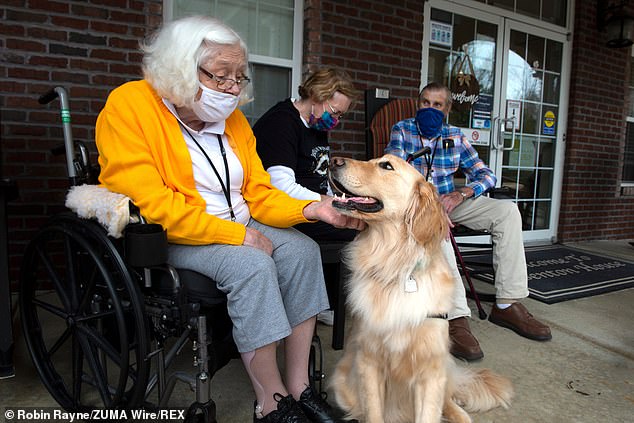الكلاب بدار المسنين