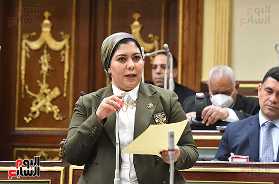 المرأة فى مجلس النواب (2)