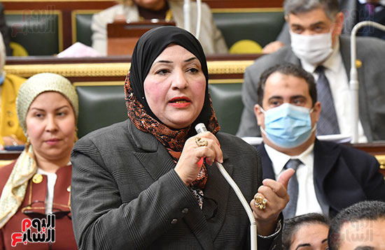 المرأة فى مجلس النواب (1)